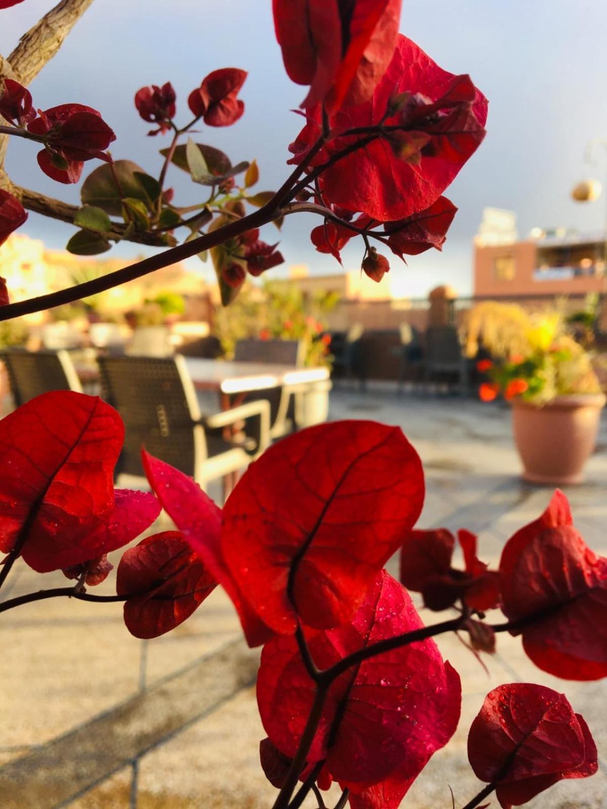 Hotel Riad Atlas Dades Boumalne Dades Exterior foto