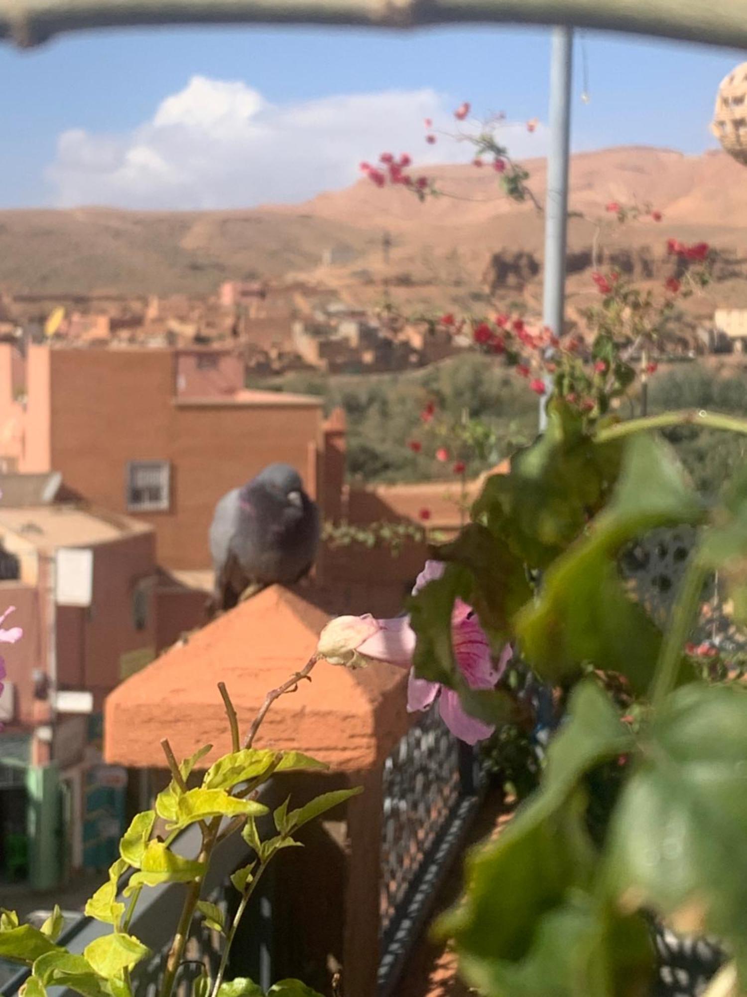Hotel Riad Atlas Dades Boumalne Dades Exterior foto